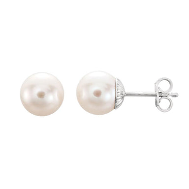 Freshwater Pearl Studs