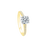 Diamond Setting