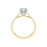 Diamond Setting