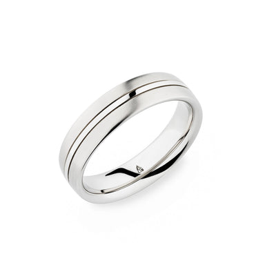 Palladium 6mm Thin Polished Center Brushed Band