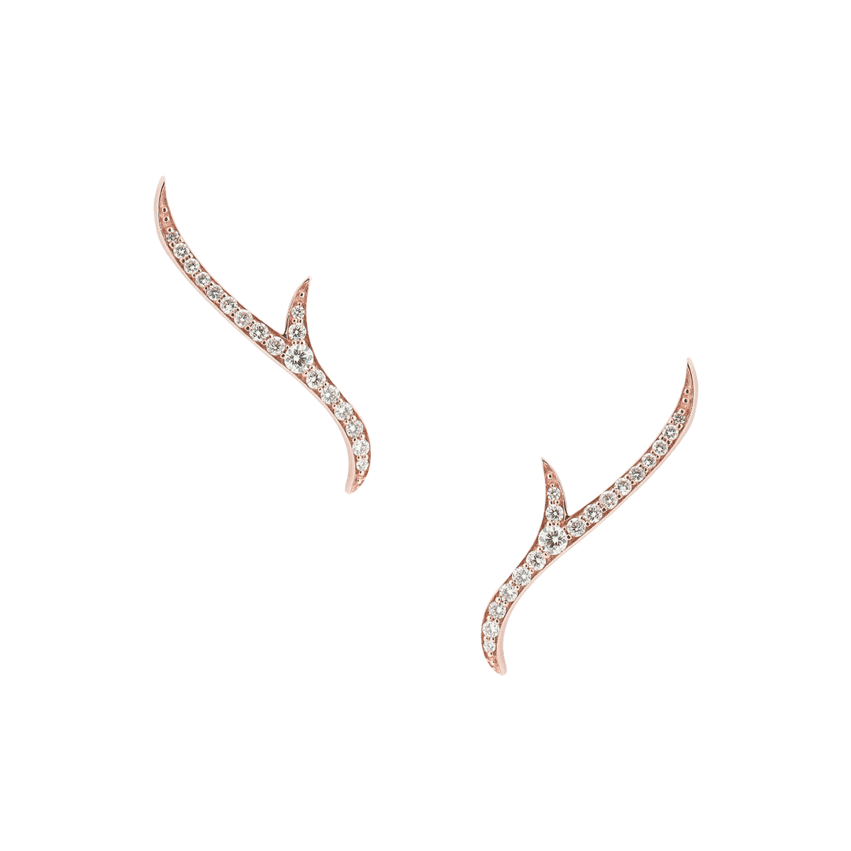 Thorn Stem Earstuds