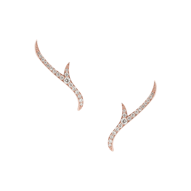 Thorn Stem Earstuds