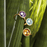 Citrine Jaipur Medium Ring