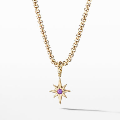 Cable Collectibles North Star Birthstone Charm in 18K Yellow Gold with Amethyst