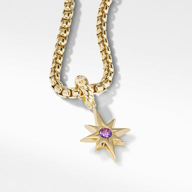 Cable Collectibles North Star Birthstone Charm in 18K Yellow Gold with Amethyst