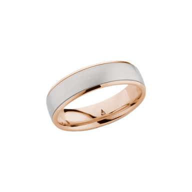 Brushed Center Mixed Metal Band